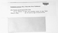 Image Associated With the Occurrence